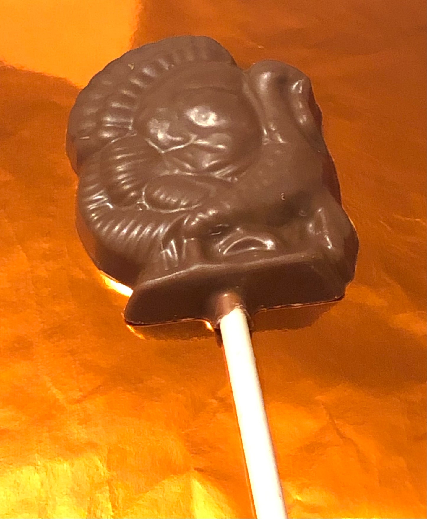Thanksgiving Turkey Chocolate Lollipop